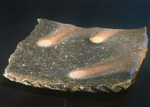 comet plate